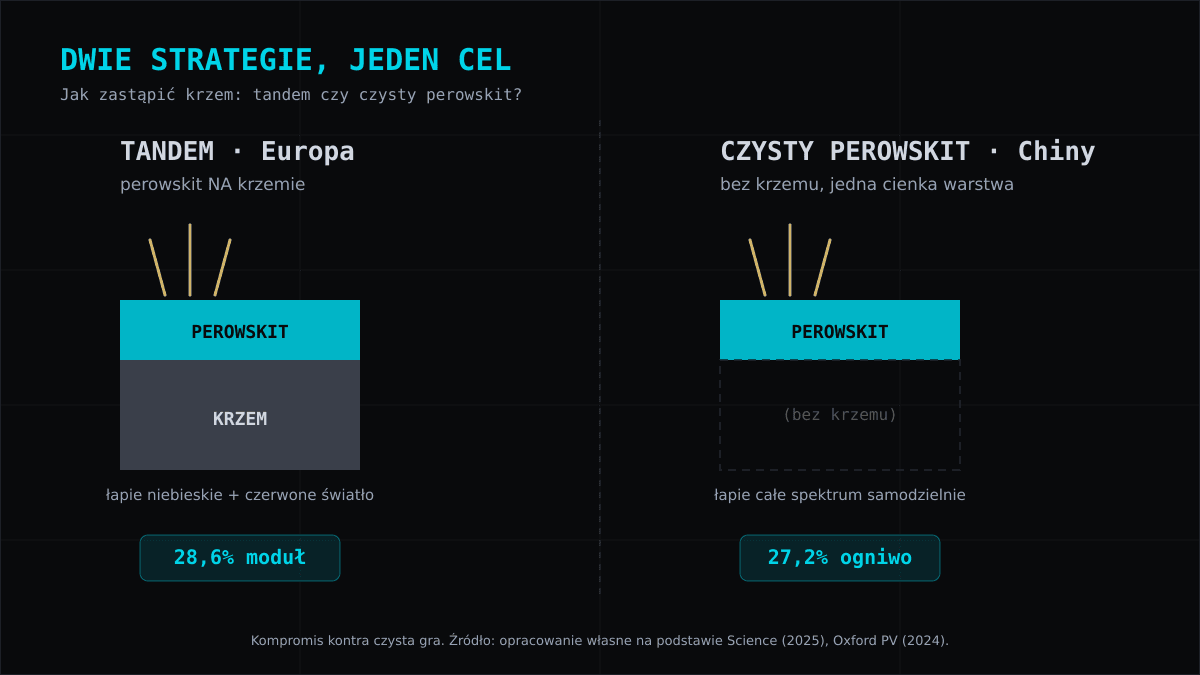 Porównanie dwóch strategii: tandem perowskit na krzemie vs czysty perowskit