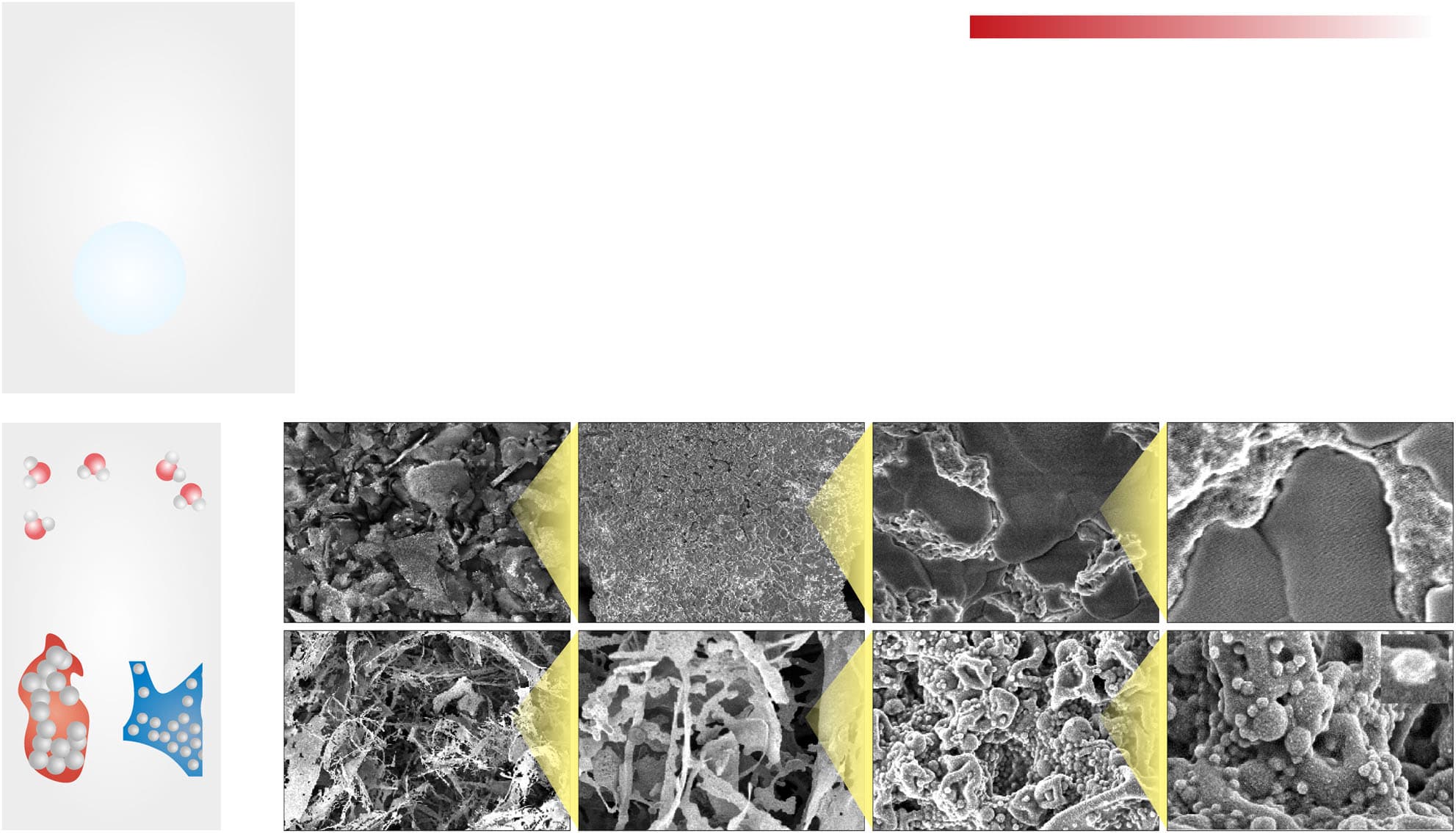 Rys. 1. Schemat syntezy PEDOT:AlgS — zastąpienie hydrofobowego szkieletu PSS hydrofilowym alginianem sulfonowanym umożliwia pięciokrotnie wyższą dyspersję w roztworach wodnych. Źródło: Montazerian H. et al., Boosting hydrogel conductivity via water-dispersible conducting polymers for injectable bioelectronics, Nature Communications (2025), DOI: 10.1038/s41467-025-59045-1.