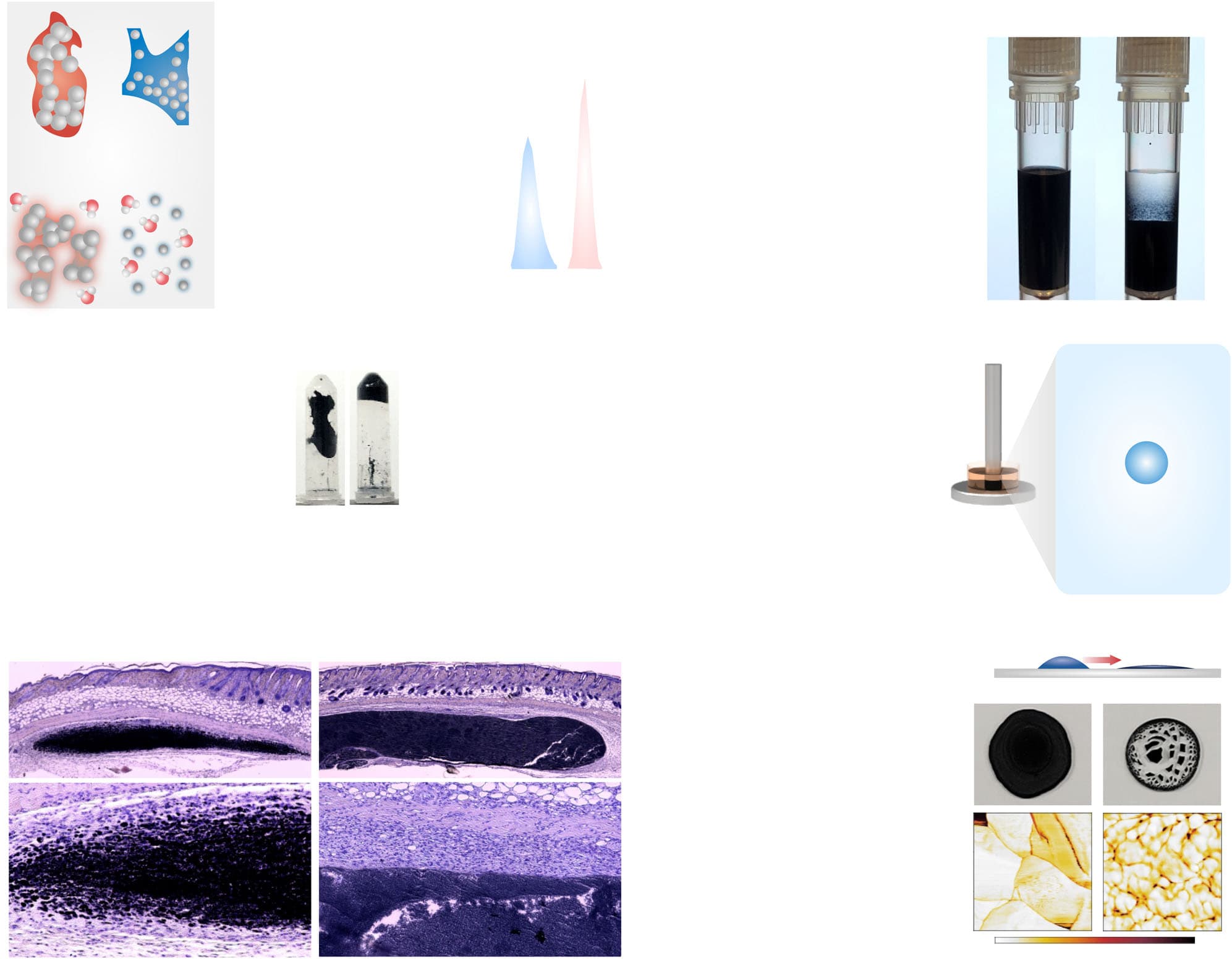 Rys. 2. Charakterystyka hydrożeli przewodzących — porównanie PEDOT:PSS i PEDOT:AlgS w matrycach alginianowych i żelatynowych. Źródło: Montazerian H. et al., Nature Communications (2025), DOI: 10.1038/s41467-025-59045-1.