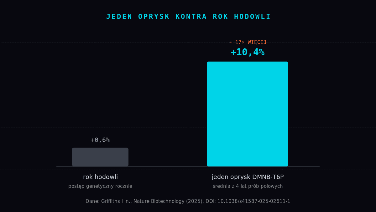 Jeden oprysk DMNB-T6P daje +10,4% plonu wobec +0,6% rocznej hodowli